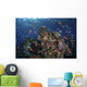 Reef Fish Swimming Upward Angle Wall Decal