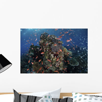 Reef Fish Swimming Strong Horizontal Wall Decal shown on a wall
