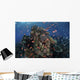 Reef Fish Swimming Strong Horizontal Wall Decal