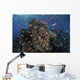 Reef Fish Swimming Strong Horizontal Wall Decal