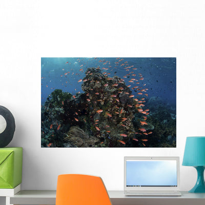 Reef Fish Swimming Strong Dark Wall Decal shown on a wall