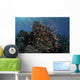 Reef Fish Swimming Strong Dark Wall Decal