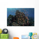 Reef Fish Swimming Strong Dark Wall Decal