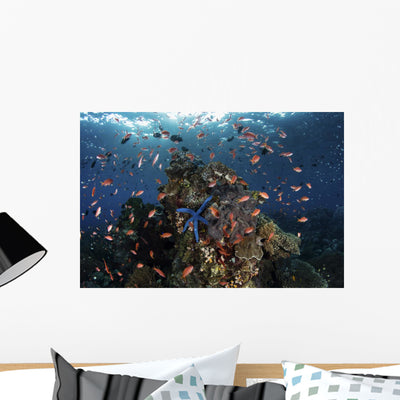 Reef Fish Swimming Pink Fish Wall Decal shown on a wall