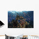 Reef Fish Swimming Pink Fish Wall Decal