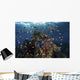 Reef Fish Swimming Pink Fish Wall Decal