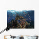 Reef Fish Swimming Pink Fish Wall Decal