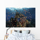 Reef Fish Swimming Pink Fish Wall Decal