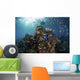 Reef Fish Swimming Wide Shot Wall Decal