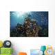 Reef Fish Swimming Wide Shot Wall Decal