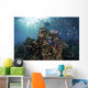 Reef Fish Swimming Wide Shot Wall Decal