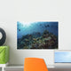 Colorful Reef Fish Swim Light Rays Wall Decal