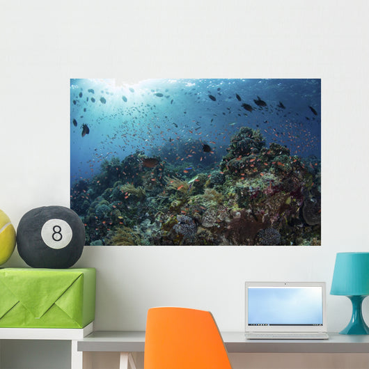 Colorful Reef Fish Swim Light Rays Wall Decal