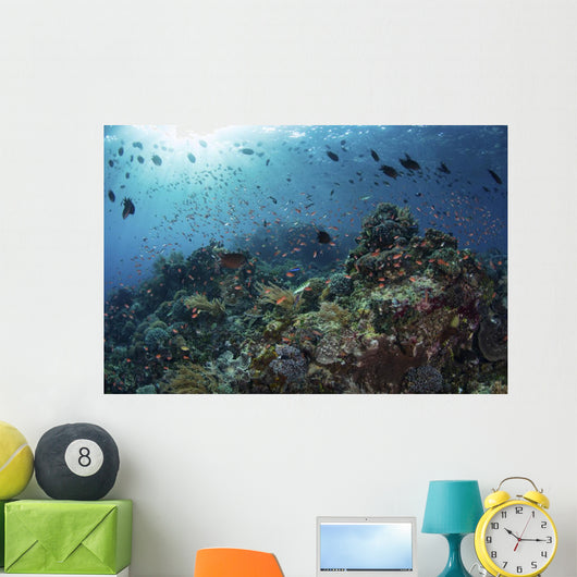 Colorful Reef Fish Swim Light Rays Wall Decal