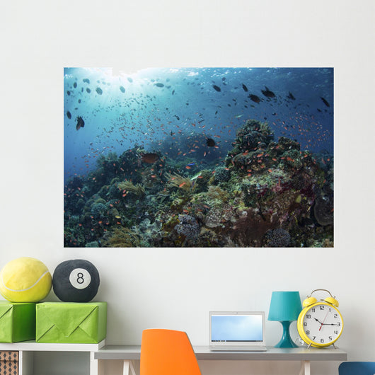 Colorful Reef Fish Swim Light Rays Wall Decal