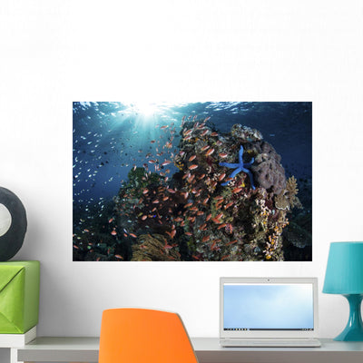 Reef Fish Swimming Light Rays Wall Decal shown on a wall