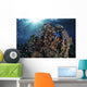 Reef Fish Swimming Light Rays Wall Decal