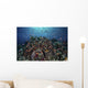 Reef Fish Swimming over Coral Wall Decal
