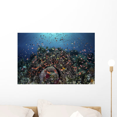 Reef Fish Swimming over Coral Wall Decal shown on a wall
