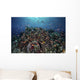 Reef Fish Swimming over Coral Wall Decal