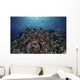 Reef Fish Swimming over Coral Wall Decal