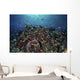 Reef Fish Swimming over Coral Wall Decal