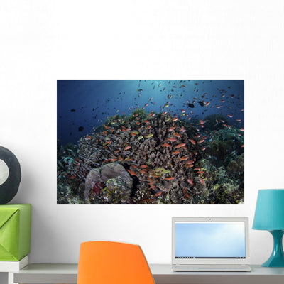 Reef Fish Swimming Wall Decal shown on a wall