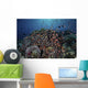 Reef Fish Swimming Wall Decal