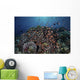 Reef Fish Swimming Wall Decal