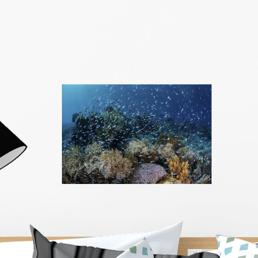 Colorful Reef Fish Swim Swirling Wall Decal