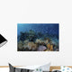 Colorful Reef Fish Swim Swirling Wall Decal