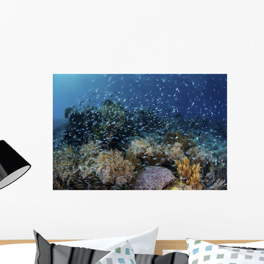 Colorful Reef Fish Swim Swirling Wall Decal
