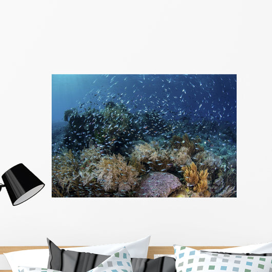 Colorful Reef Fish Swim Swirling Wall Decal