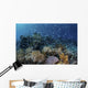 Colorful Reef Fish Swim Swirling Wall Decal