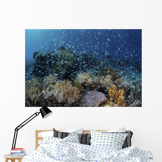 Colorful Reef Fish Swim Swirling Wall Decal