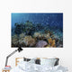 Colorful Reef Fish Swim Swirling Wall Decal