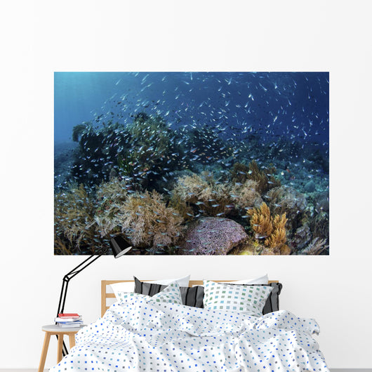 Colorful Reef Fish Swim Swirling Wall Decal