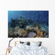 Colorful Reef Fish Swim Swirling Wall Decal