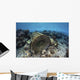 Traditional Fish Trap Made Top Wall Decal