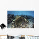 Traditional Fish Trap Made Top Wall Decal