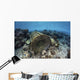 Traditional Fish Trap Made Top Wall Decal
