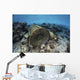 Traditional Fish Trap Made Top Wall Decal