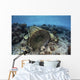 Traditional Fish Trap Made Top Wall Decal