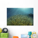 Blue-green Damselfish Large School Wall Decal