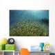 Blue-green Damselfish Large School Wall Decal