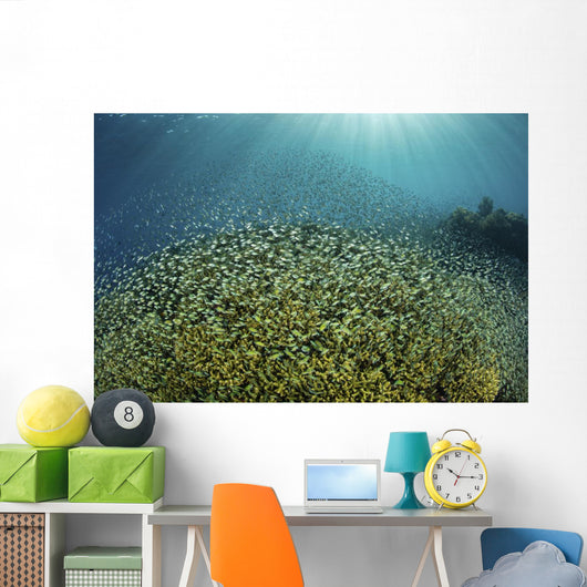 Blue-green Damselfish Large School Wall Decal