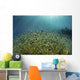 Blue-green Damselfish Large School Wall Decal