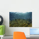 Blue-green Damselfish Schooling Wall Decal