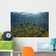 Blue-green Damselfish Schooling Wall Decal