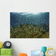 Blue-green Damselfish Schooling Wall Decal